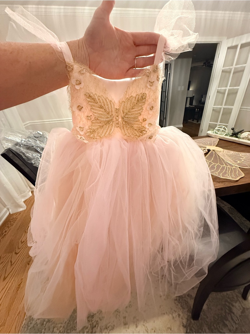 Pottery Barn Kids Pink Tulle Dress with Gold Butterfly Applique
